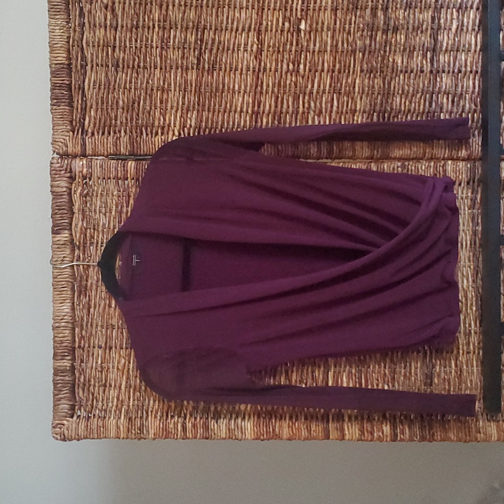 Eggplant long sleeve, Tahari blouse, sheer sleeves